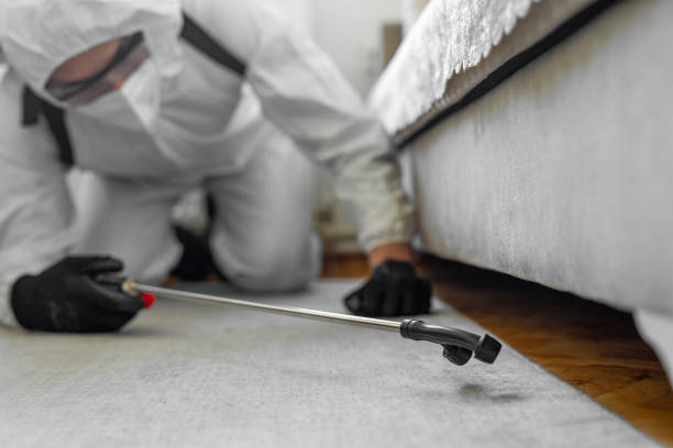 Professional Cockroach Control technician working in Columbia Falls, MT