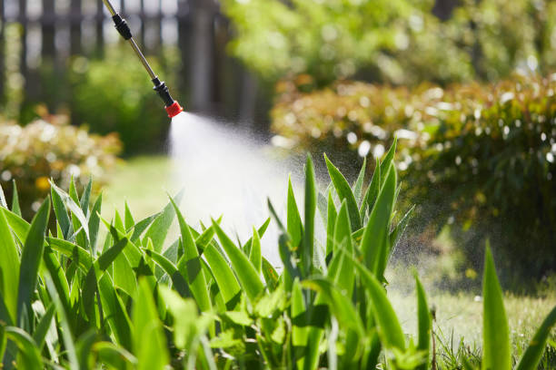 24/7 Emergency Cockroach Control experts in Columbia Falls, MT