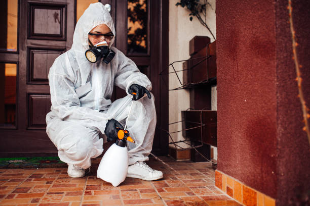 Reliable Cockroach Control contractor in Columbia Falls, MT by Nex Pest Control